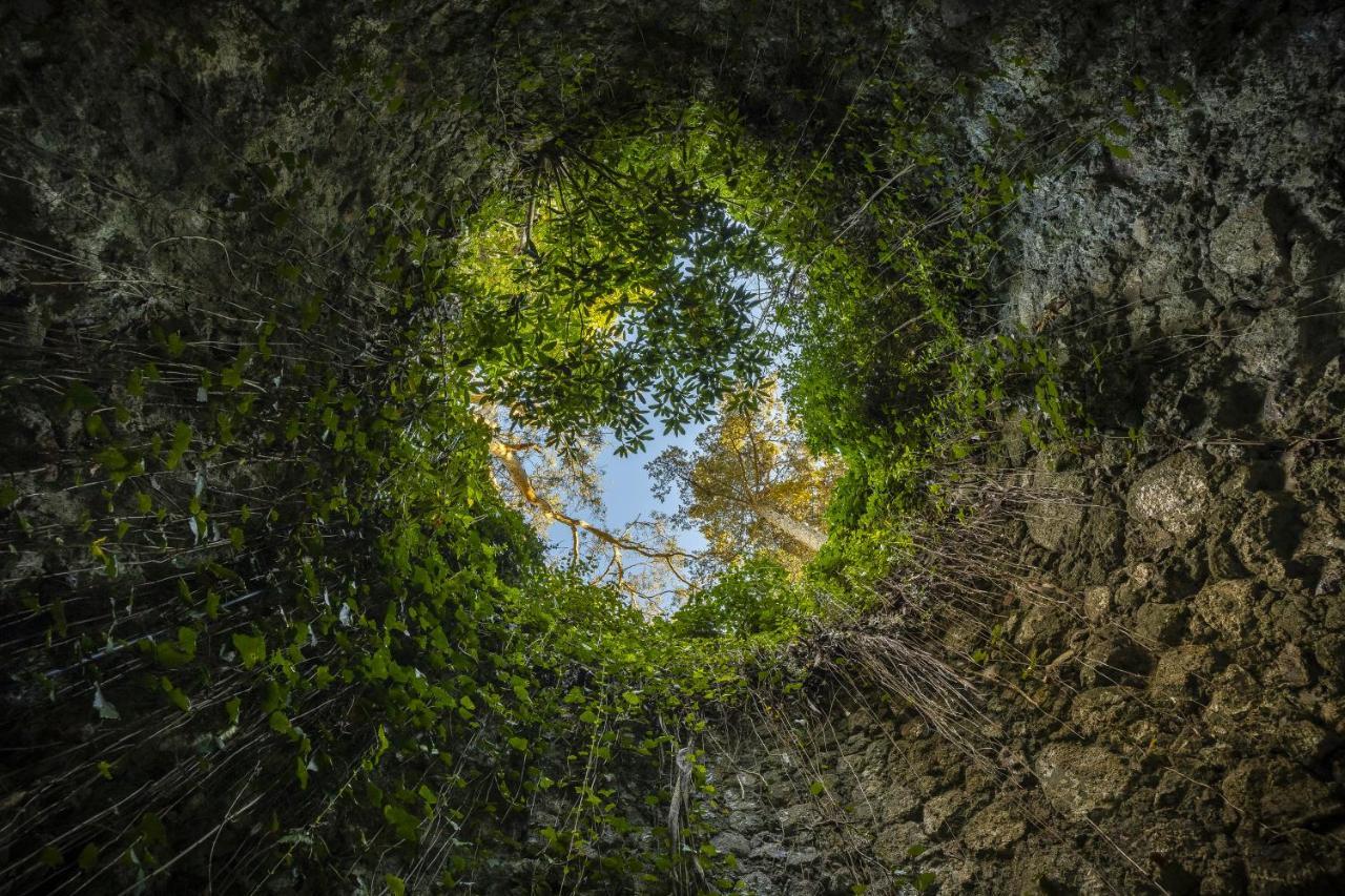 Sintra Marmoris Palace Esterno foto